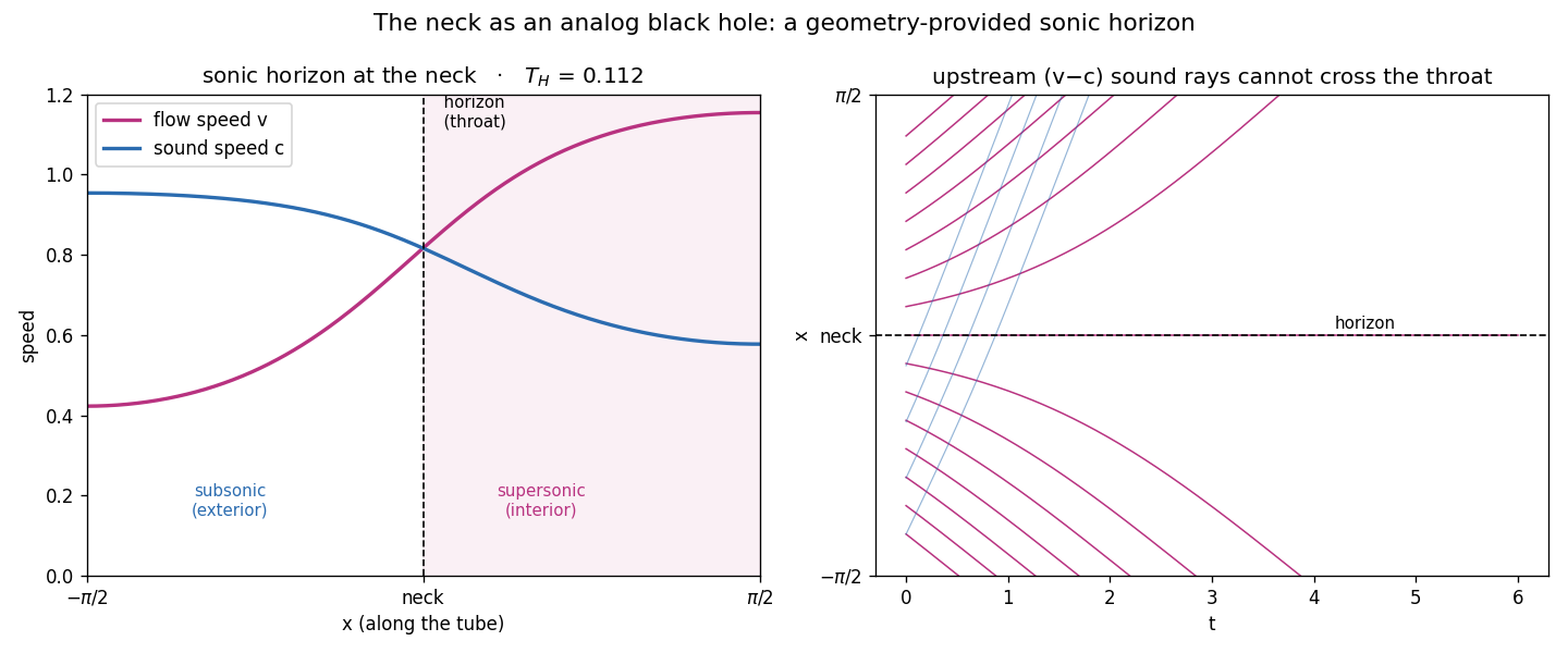 analog sonic horizon at the neck