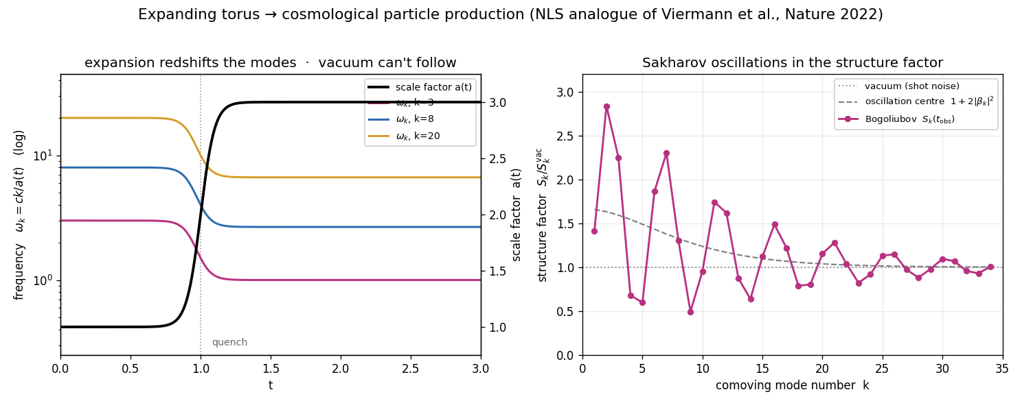 expanding torus cosmological particle production