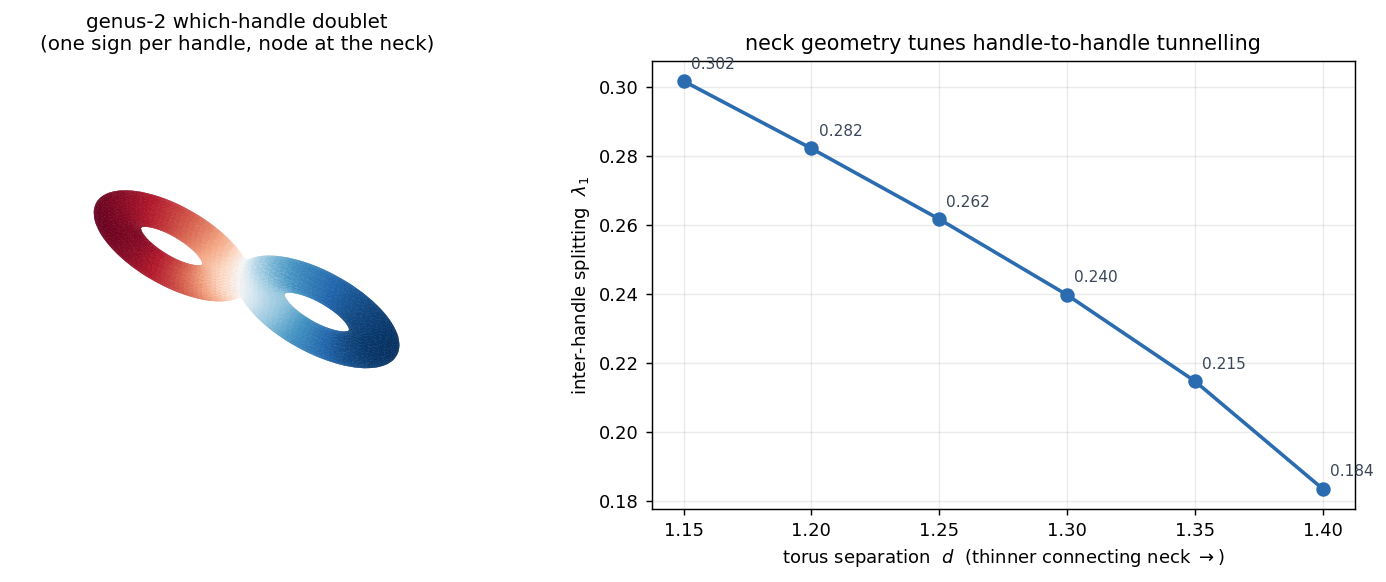 genus-2 which-handle tunnelling doublet and neck sweep