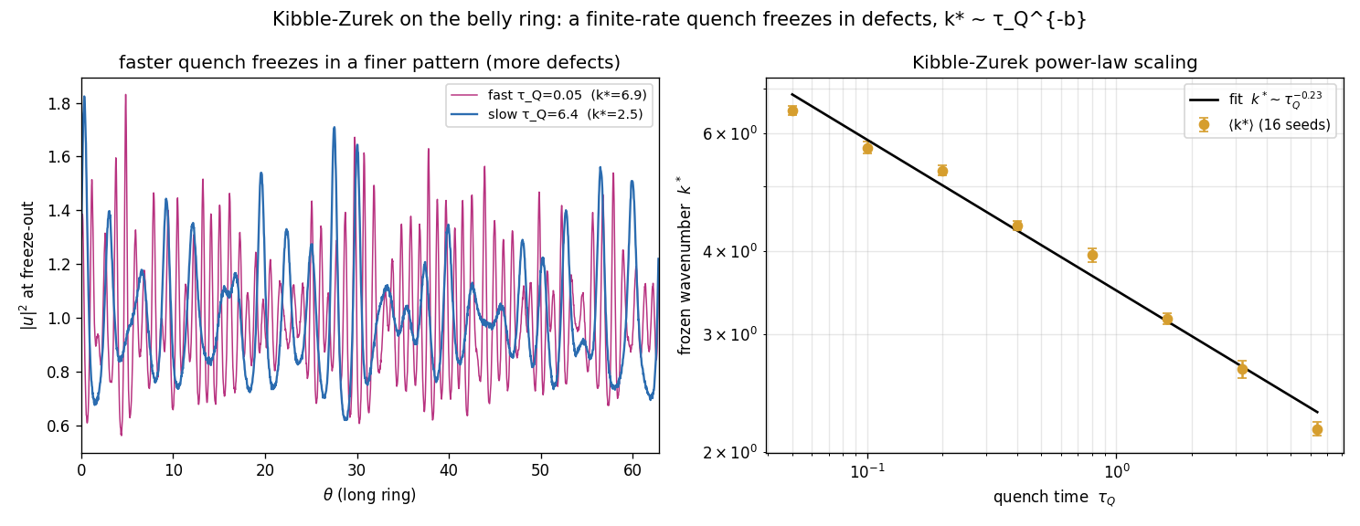Kibble-Zurek scaling from a quench on the ring