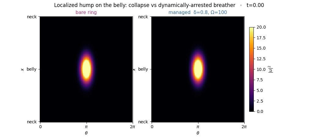 animation: collapse vs arrested breather