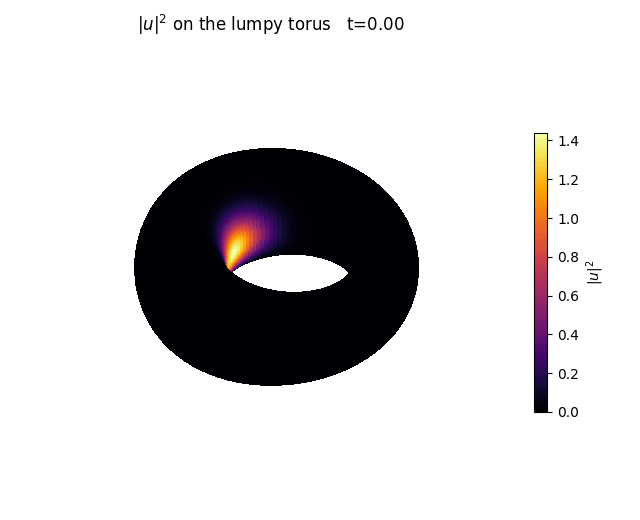 wavepacket on torus