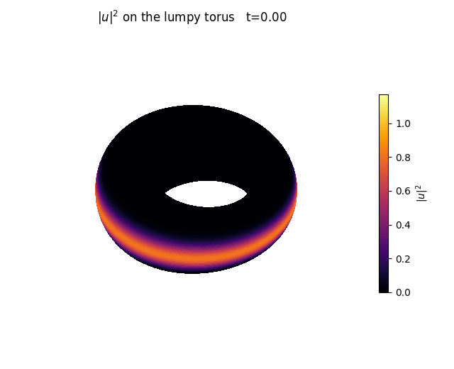 meridian torus