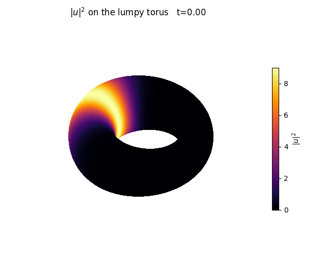 focusing ring
